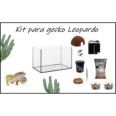 Kit completo Gecko Leopardo